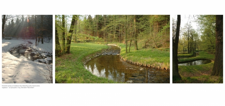 Raduň